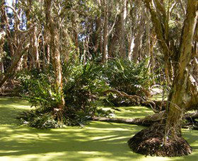 Arkarra Lagoons And Tea Gardens - Australia Accommodation 0