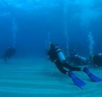 Egg Rock Dive Site - Australia Accommodation