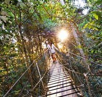 Tree Top Walkway - Australia Accommodation