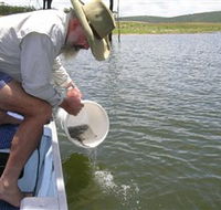 Eungella Dam - Australia Accommodation