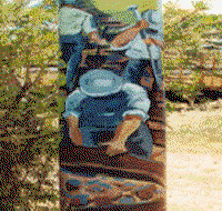 Alpha Murals - Australia Accommodation
