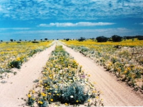 Birdsville Track - Australia Accommodation 0