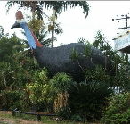 The Big Cassowary - Australia Accommodation