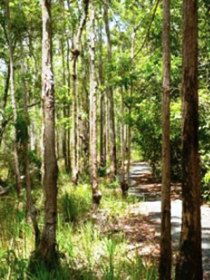 Hallorans Hill - Australia Accommodation 0