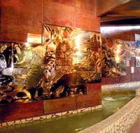 Riversleigh Fossil Centre - Australia Accommodation