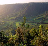 Pine Grove Circuit - Australia Accommodation