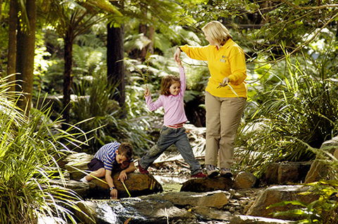 Tondoon Botanic Gardens - Australia Accommodation 2