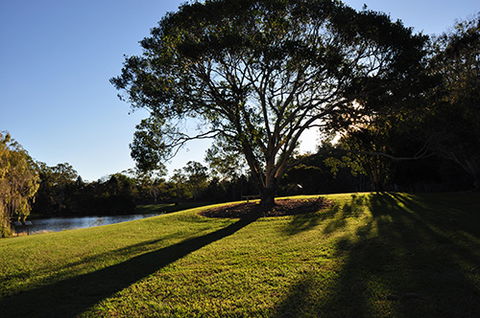 Tondoon Botanic Gardens - Australia Accommodation 4