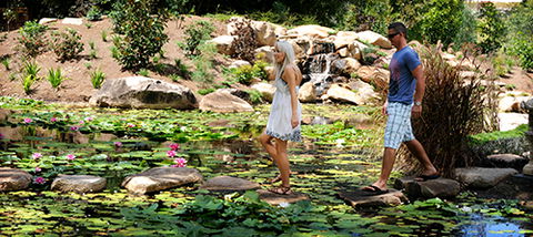 Tondoon Botanic Gardens - Australia Accommodation 7