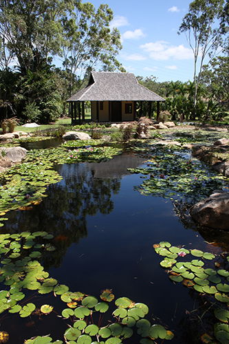 Tondoon Botanic Gardens - Australia Accommodation 8