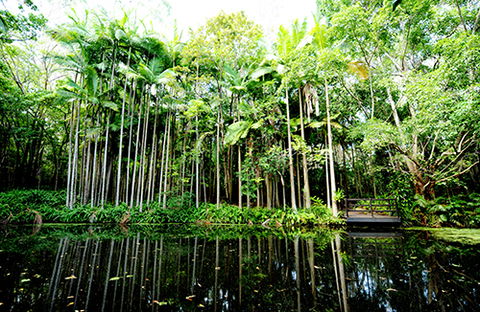 Tondoon Botanic Gardens - Australia Accommodation 11