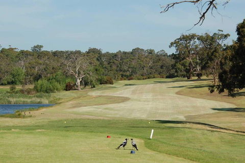 Devilbend Golf Club - Australia Accommodation 1