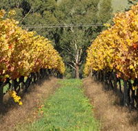 Wild Dog Winery  Restaurant - Australia Accommodation