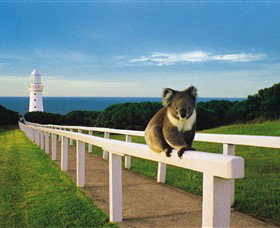 Cape Otway VIC Australia Accommodation