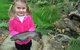 Wild Food Farm & Cafe - thumb 0