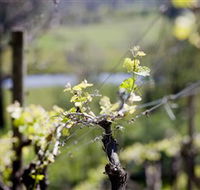 Downing Estate - Australia Accommodation