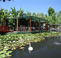 Blue Lotus Water Garden - Australia Accommodation