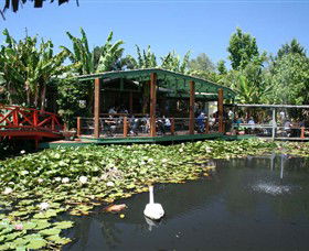 Blue Lotus Water Garden - Australia Accommodation 0