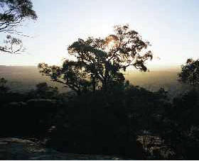 Yarra Flats - Australia Accommodation 0