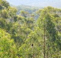 Bunyip State Park - Australia Accommodation