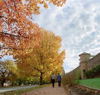 Beechworth Historic Park - Australia Accommodation