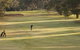 Cohuna Golf Club - thumb 0