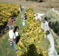 Blakes Estate Winery - Australia Accommodation