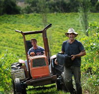 Kellybrook Winery  Kelly Brothers Cider - Australia Accommodation