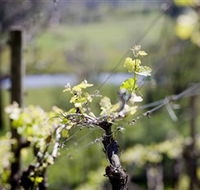 Coldstream Hills - Australia Accommodation