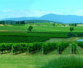 Acacia Ridge Vineyard - Australia Accommodation 0