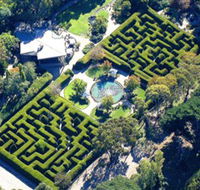 Ashcombe Maze  Lavender Gardens - Australia Accommodation