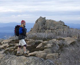 Mount Buffalo National Park - Australia Accommodation 0