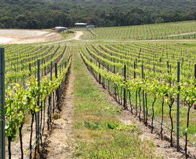 M Chapoutier Australia - Australia Accommodation 0