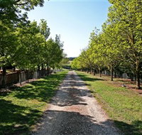 Waybourne Winery - Australia Accommodation
