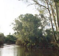 Banksia Park - Australia Accommodation