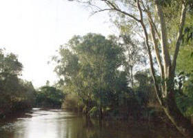 Banksia Park - Australia Accommodation 0