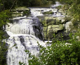 Agnes Falls Scenic Reserve - Australia Accommodation 0