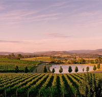 Oakridge Wines - Australia Accommodation
