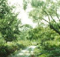 Holey Plains State Park - Australia Accommodation