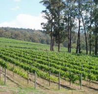 Piedmont Vineyard - Australia Accommodation