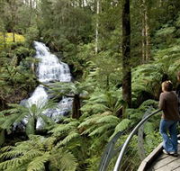 Great Otway National Park - Australia Accommodation