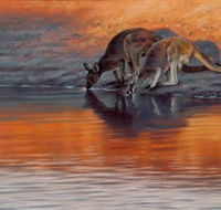 Steve Morvell Wildlife Art - Australia Accommodation