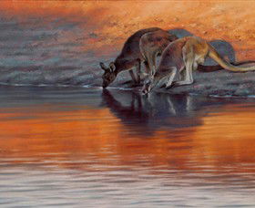 Steve Morvell Wildlife Art - Australia Accommodation 0