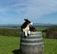 Windy Ridge Vineyard and Winery - Australia Accommodation
