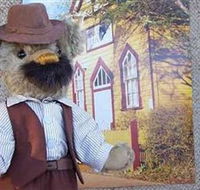 Stanley Bears - Australia Accommodation