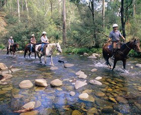 Howqua Hills Historic Area - Australia Accommodation 0