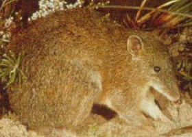 Mornington Peninsula VIC Australia Accommodation