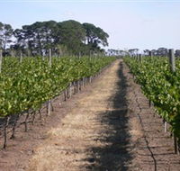 Mount Beckworth Wines - Australia Accommodation