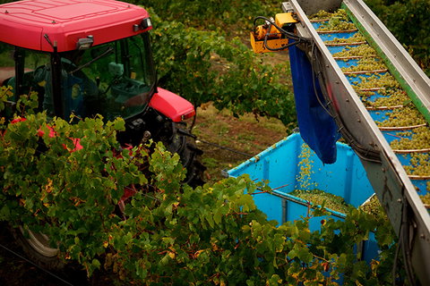 GREENSTONE VINEYARDS - Australia Accommodation 3