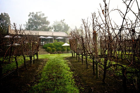 GREENSTONE VINEYARDS - Australia Accommodation 4